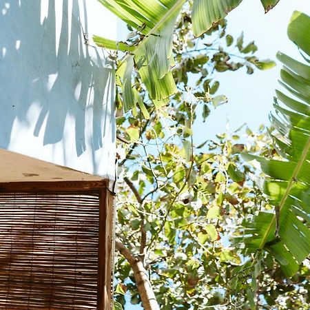 Tortuga Blue House In Banana Plantation Villa Arucas Luaran gambar