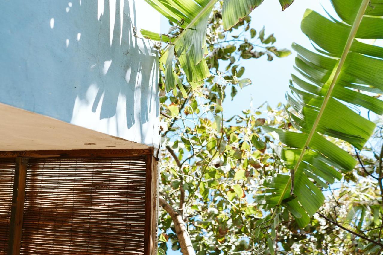 Tortuga Blue House In Banana Plantation Villa Arucas Luaran gambar