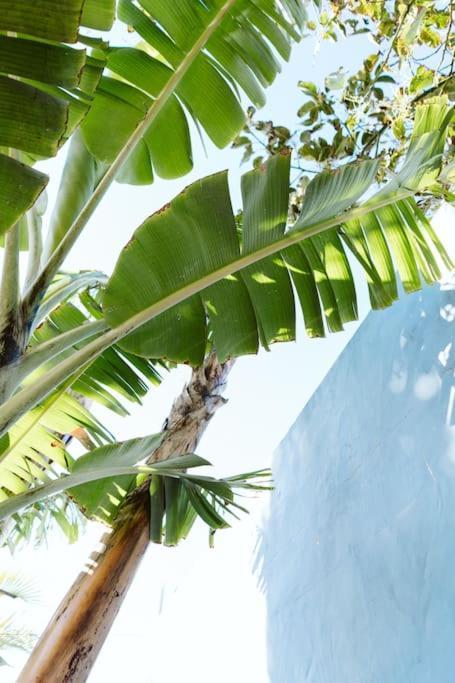 Tortuga Blue House In Banana Plantation Villa Arucas Luaran gambar